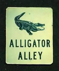 alligator 4.jpg